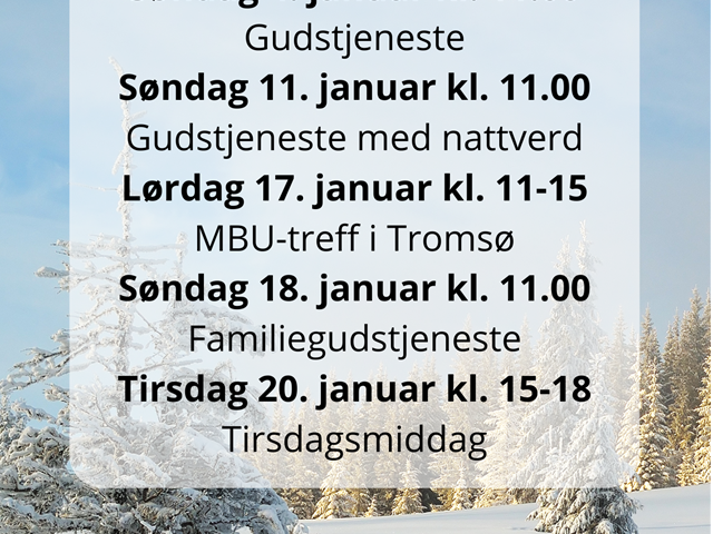 Program januar