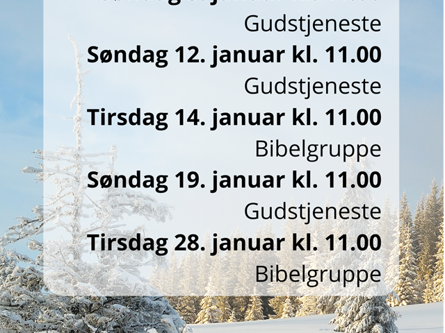 Program januar